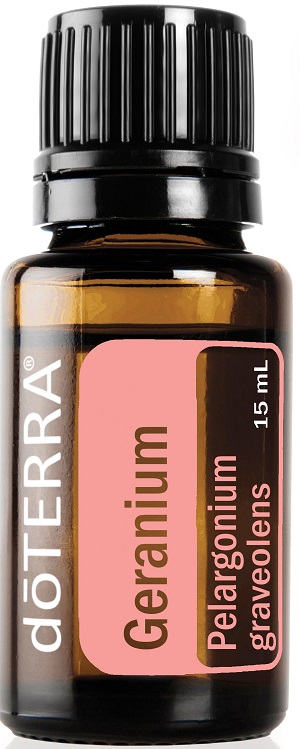 geranium