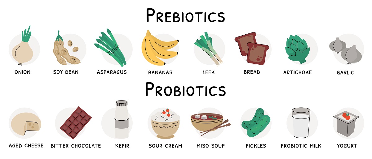 probiotic foods