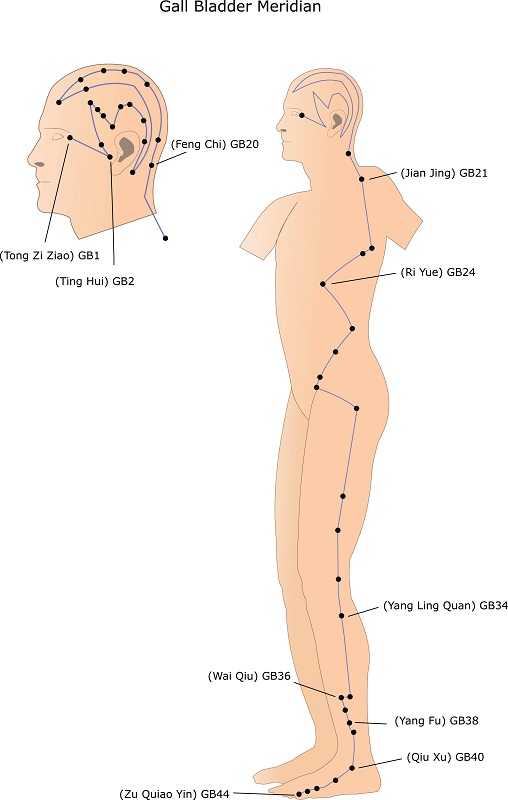the map of the gallbladder channel on the body