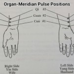 "Pulse-Positions